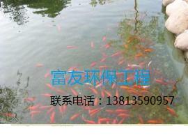 南京市景观鱼池过滤设备批发批发