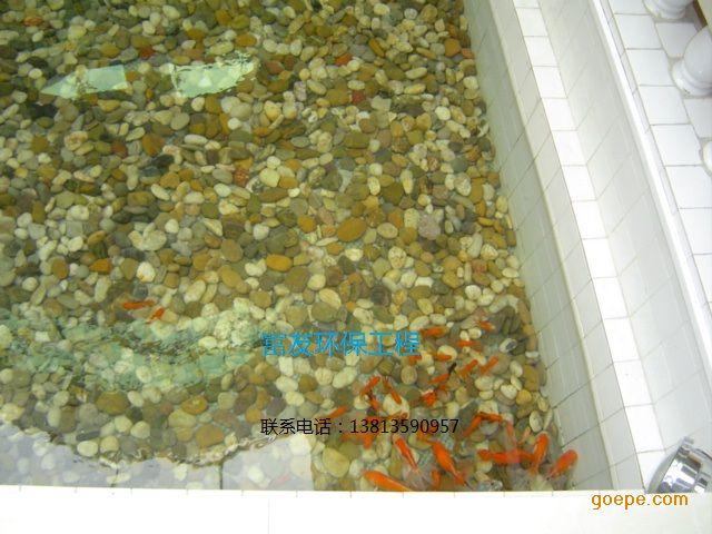 供应徐州市花园鱼池水生物过滤工程，常年无需换水