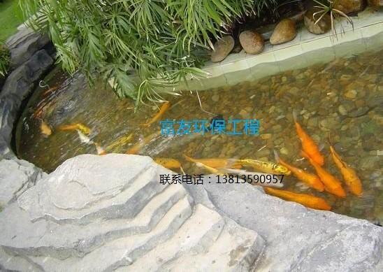 供应湖北省专业处理鱼池水发绿，专业处理景观鱼池水质问题。