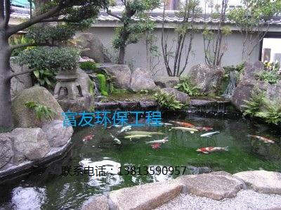 供应广西省锦鲤鱼池生物过滤工程，国内一流技术
