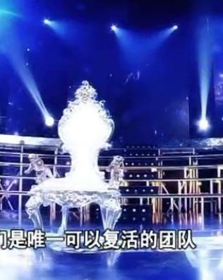 供应欧式豹椅由圣宝龙沙发厂赞助东南电视台欢乐合唱团图片