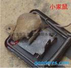 西安市专卖鼠饵盒粘鼠板68548277厂家