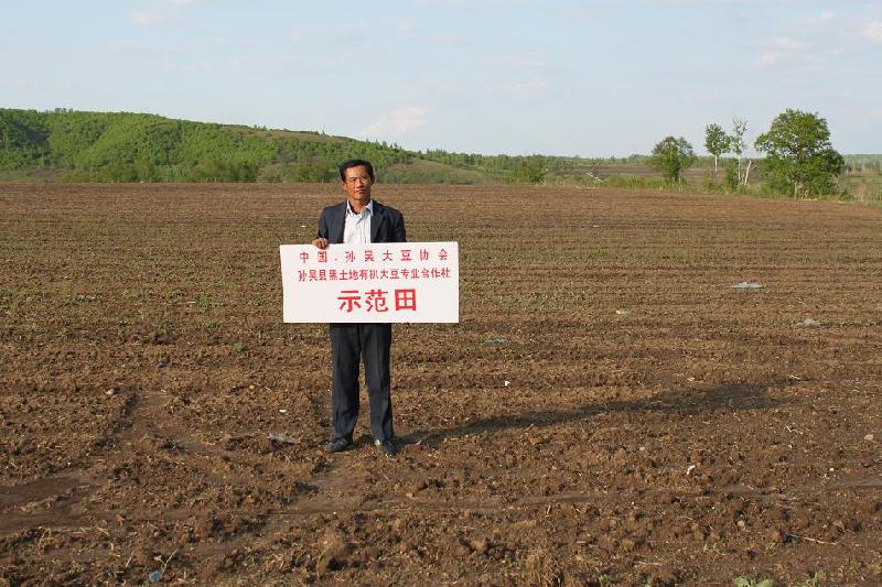 黑小麦仁基地批发