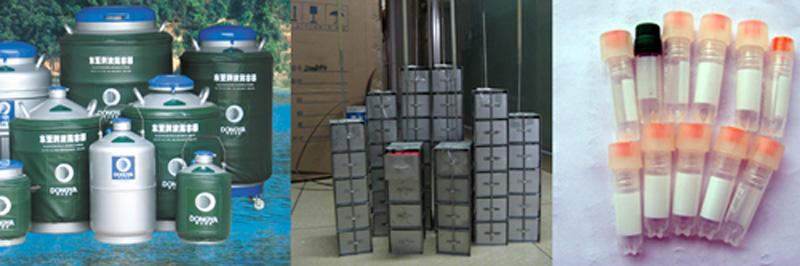 供应翻盖内塞式大口径液氮生物容/东亚液氮罐规格参数价格图片