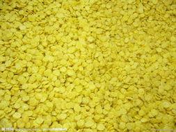 供应玉米种子包税进口代理玉米种子香港中转进口图片