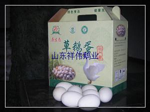 鹅蛋食疗价值/鹅蛋批发/鹅蛋销售批发