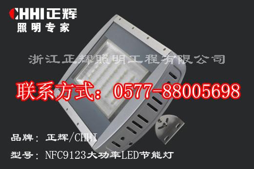 NFC9123大功率LED节能灯30W大功率节能灯
