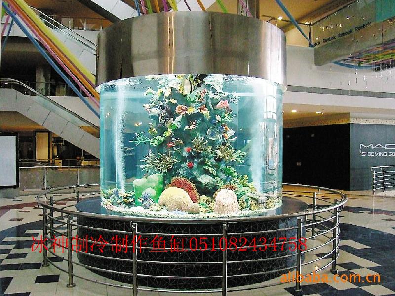 大型观赏鱼缸设计安装无锡冰神水族批发