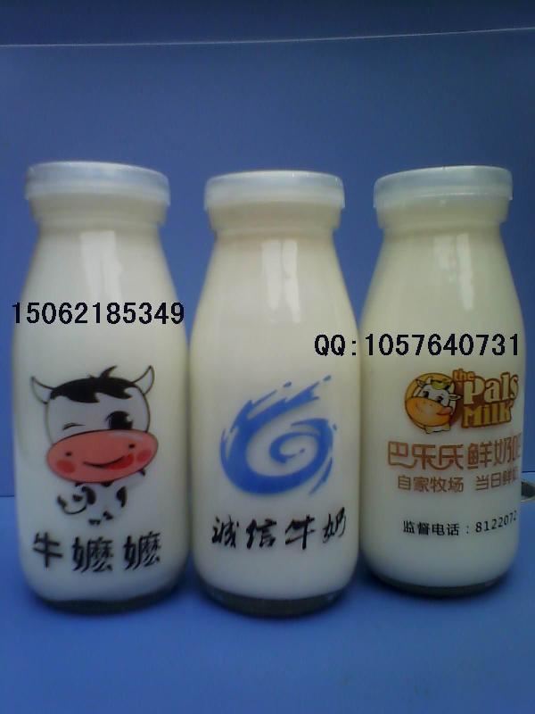 供应250毫升印花烤花牛奶瓶鲜奶瓶酸奶瓶玻璃奶瓶