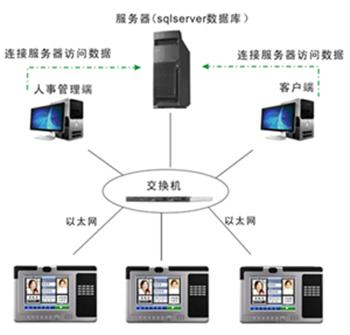 供应TKBS20异地网络考勤系统