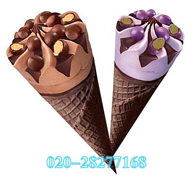 供应彩色冰淇淋机小型冰淇淋机冰淇淋品牌冰淇淋什么牌子好？