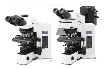 奥林巴斯三目生物显微镜BX51批发
