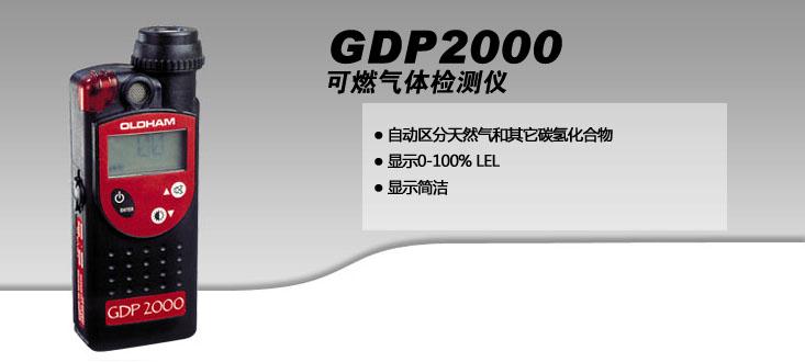 GDP2000型可燃气体检测仪