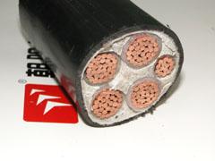 供应ZR-YJV电力电缆图片