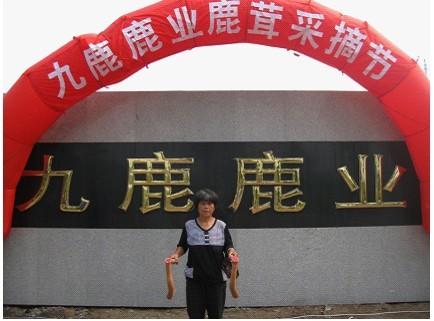 北京市鹿鞭软胶囊厂家供应鹿鞭软胶囊