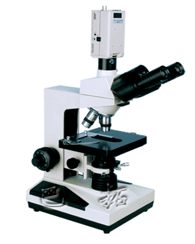 显微镜图片|显微镜样板图|相衬显微镜-上海巴拓仪器厂