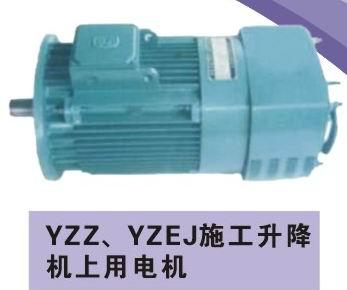 供应YZE-YZEJ-YZZ施工升降机电机