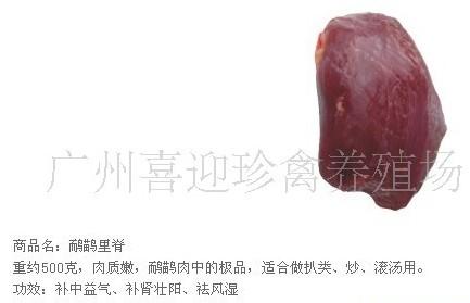 供应广州鸸鹋肉批发价格广东哪里里有鸸鹋养殖鸸鹋肉供应批发商