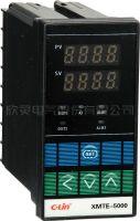 昆明市XMTD-5000系列智能温控仪厂家