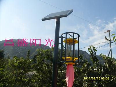 供应海淀区园林局专制杀虫灯型，北京杀虫灯厂家，太阳能灭蚊灯