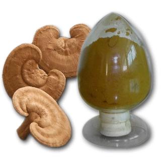 供应优质原木灵芝超细粉 灵芝粉的功效作用 灵芝孢子粉的生产厂家