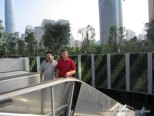 广州屋顶绿化公司广州垂直绿化公司广州屋顶绿化公司