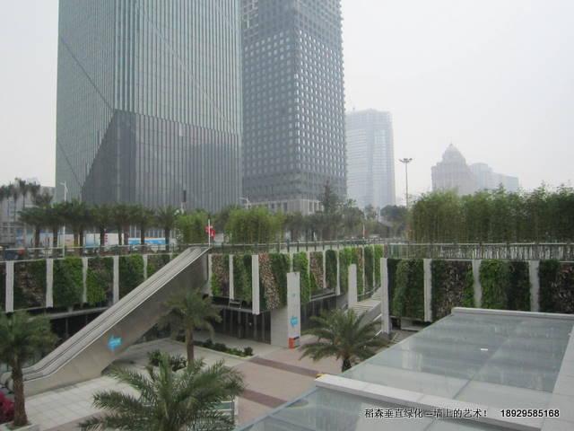 广州市广州屋顶绿化公司厂家广州垂直绿化公司广州屋顶绿化公司