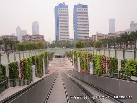 广州市墙体绿化替代大理石装修厂家墙体绿化替代大理石装修