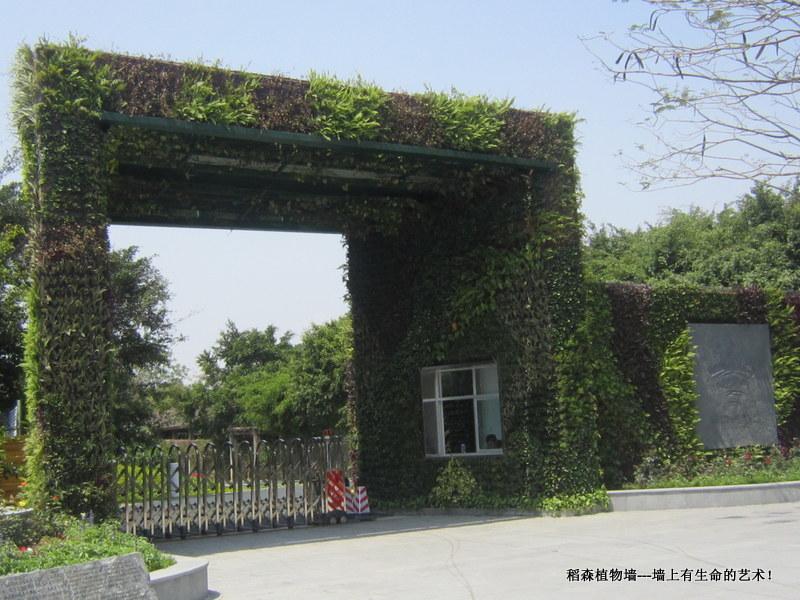 台湾绿色建筑-稻森植物墙