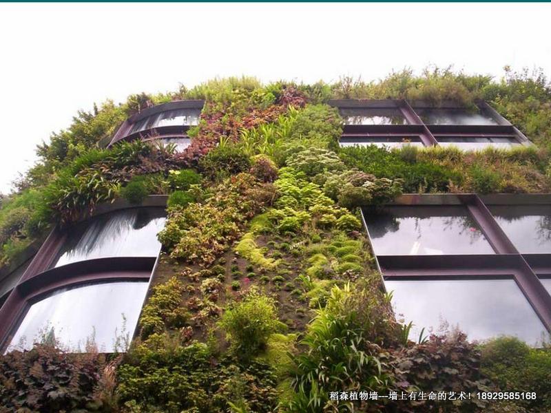 屋顶绿化设计，屋顶绿化设计公司，那里有屋顶绿化设计