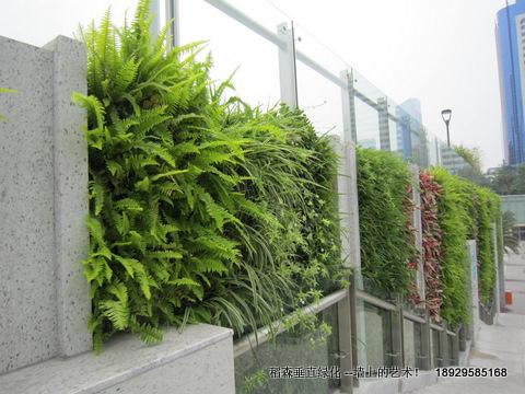 广州市垂直绿化替代大理石装修室内外厂家