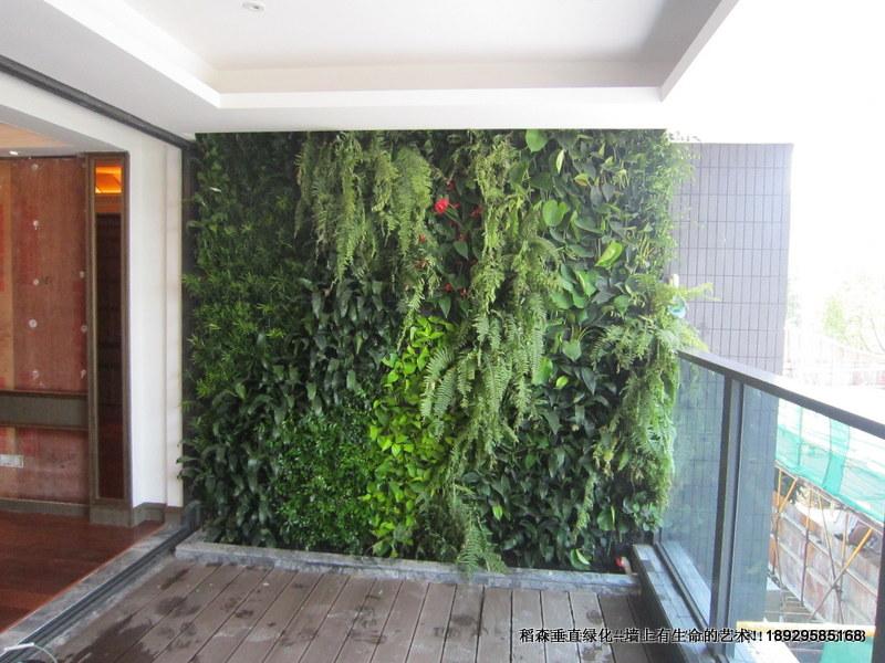 广州市美的植物墙厂家美的植物墙