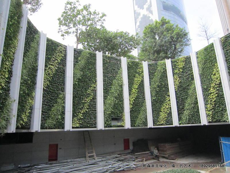 广州珠江新城墙体绿化