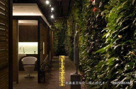 广州市垂直绿化墙厂家垂直绿化墙