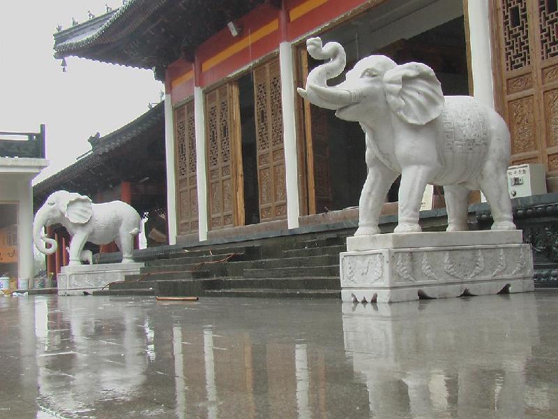 济宁市汉白玉石象石雕大象厂家