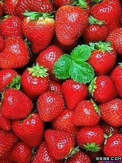 供应山东郯城草莓基地草莓哪里好图片