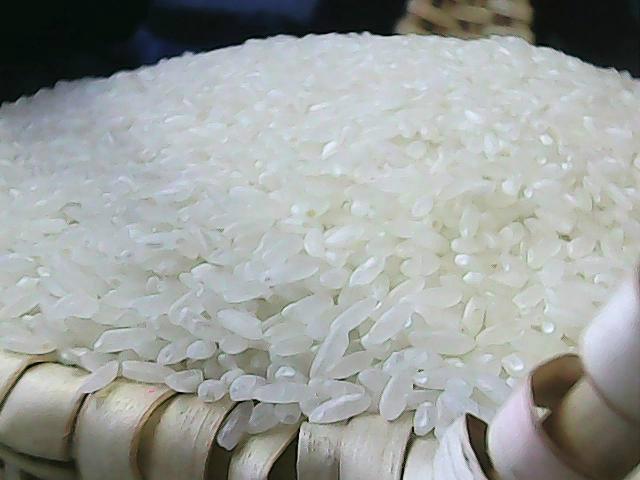 供应稻花香米