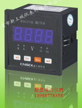 上亿种仪表型号YBM-9S3-B批发