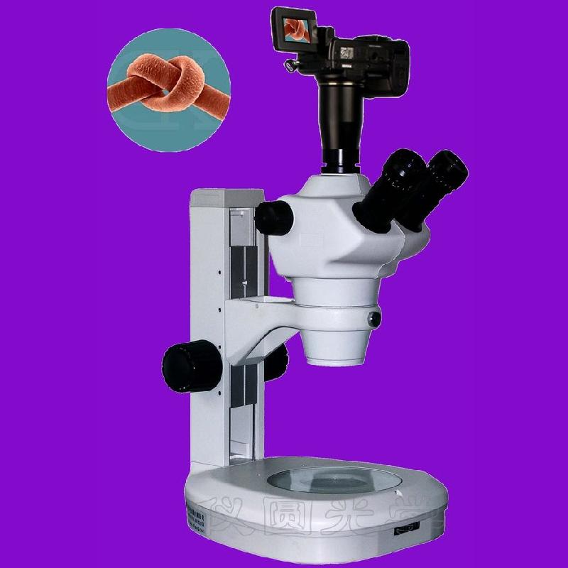 立体显微镜_立体显微镜供货商_立体显微镜YY
