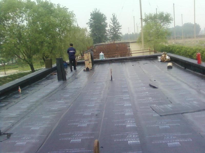 供应上海房屋漏水维修 上海屋顶防水补漏 上海屋顶堵漏