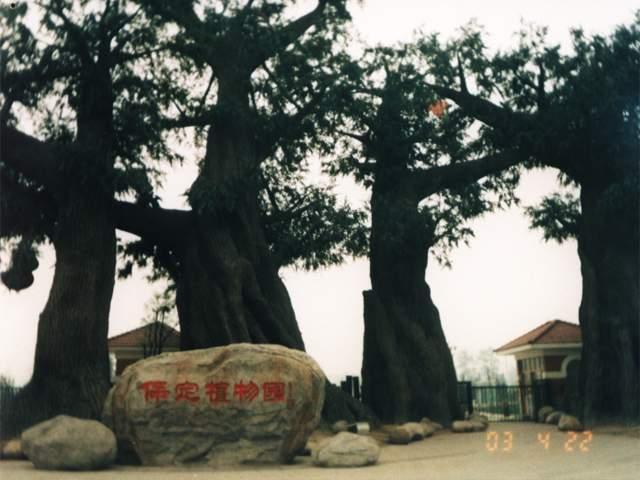 供应江苏省生态园景观设计15151105177