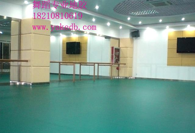 供应学校舞蹈教室用PVC卷材地板地胶垫