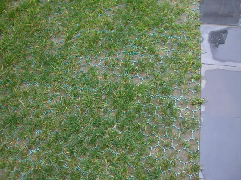 【加工定制】环保耐用的塑料植草格