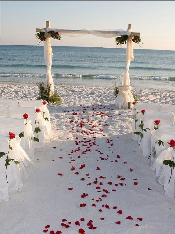 供应年轻人海边式婚礼策划