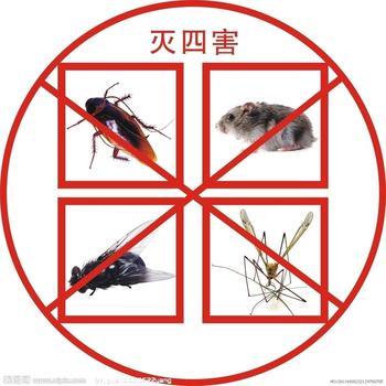 供应灭白蚁公司■杀白蚁●上海杀虫公司◆021-54303723灭老鼠