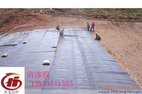 供应HDPE防水板生产厂家15953441355图片
