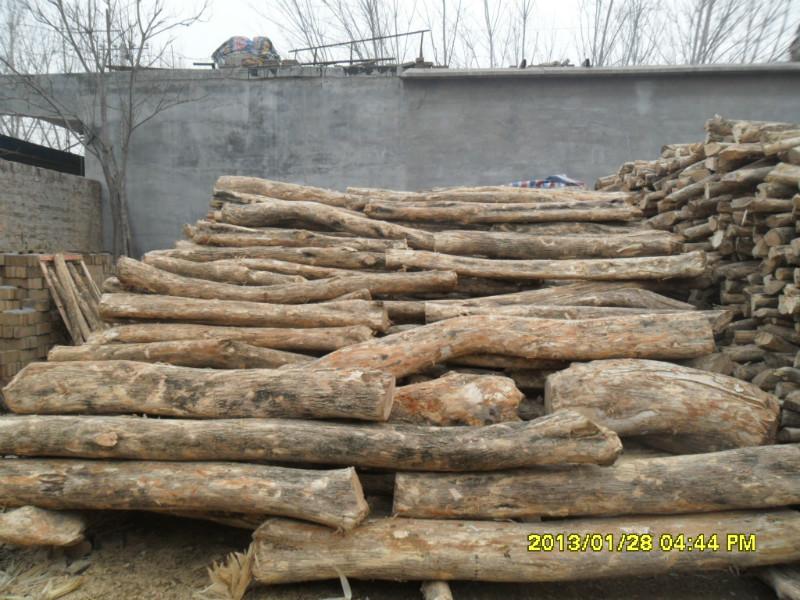广州哪里有卖枣木板材的批发