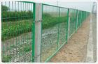 供应高速公路护栏网简易围栏网,操场围栏网,果园围网,涂塑围网,围栏