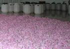100大马士革玫瑰纯露(法国欧妮蒂丝)图片