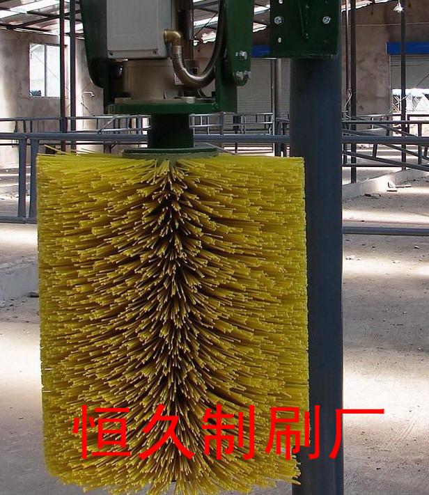 安庆市毛刷辊刷辊 机械毛刷刷辊厂家
